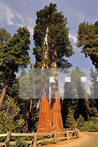 盐城市亭湖区法院汪