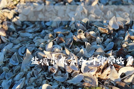 盐城市债务合同律师收费 盐城市债务合同律师收费