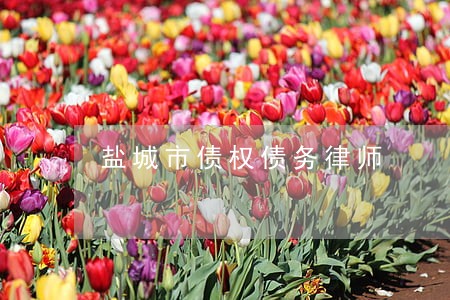 盐城市债权债务律师 盐城市债权债务律师