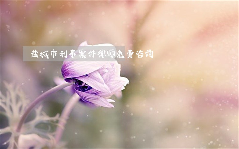 盐城市刑事案件律师免费咨询