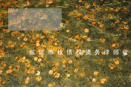 盐城市找债权债务律师收费 盐城市找债权债务律师收费