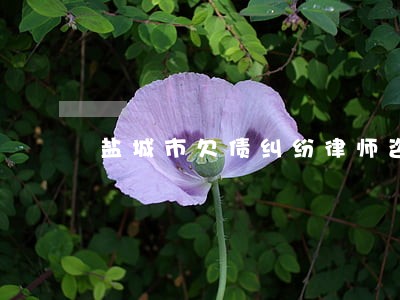 盐城市欠债纠纷律师咨询热线 盐城市欠债纠纷律师咨询热线
