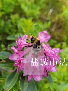 盐城市法院所有电话号码 盐城市法院所有电话号码