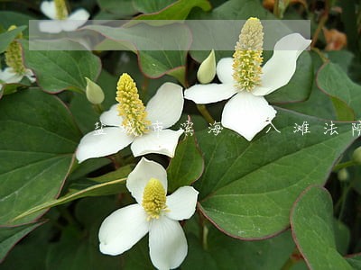 盐城市滨海县八滩法院电话 盐城市滨海县八滩法院电话