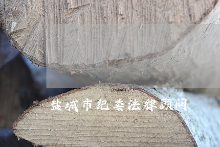 盐城市纪委法律顾问 盐城市纪委法律顾问