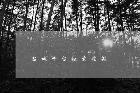 盐城平台融资逾期 盐城平台融资逾期