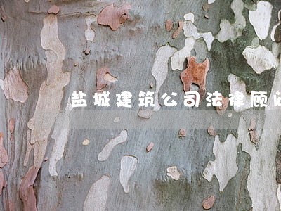 盐城建筑公司法律顾问 盐城建筑公司法律顾问