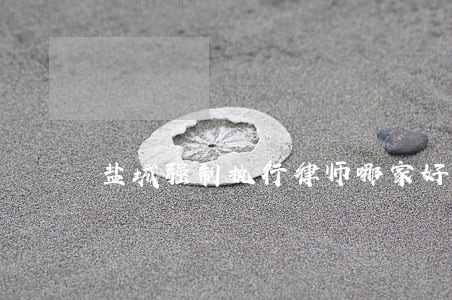 盐城强制执行律师哪家好 盐城强制执行律师哪家好
