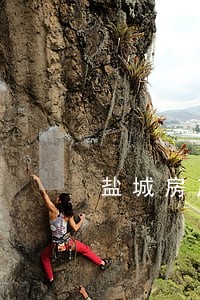 盐城房产法律咨询公司 盐城房产法律咨询公司