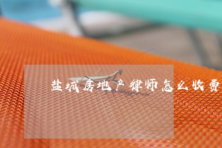 盐城房地产律师怎么收费 盐城房地产律师怎么收费