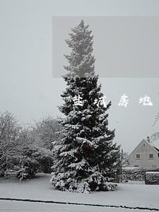 盐城房地产律师电话 盐城房地产律师电话