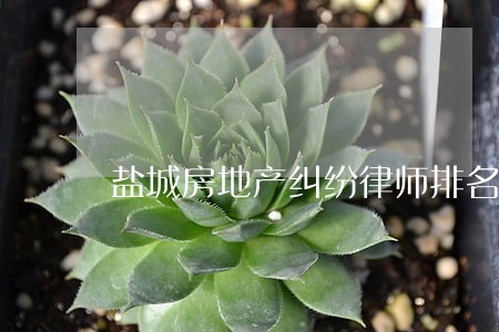 盐城房地产纠纷律师排名 盐城房地产纠纷律师排名