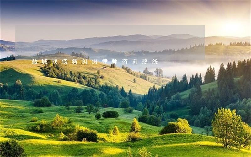 盐城找债务纠纷律师咨询热线 盐城找债务纠纷律师咨询热线