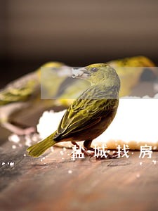 盐城找房地产律师哪里找 盐城找房地产律师哪里找