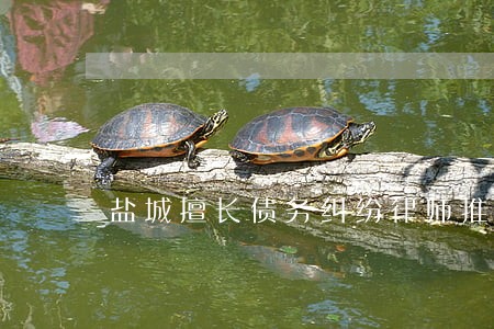 盐城擅长债务纠纷律师推荐 盐城擅长债务纠纷律师推荐
