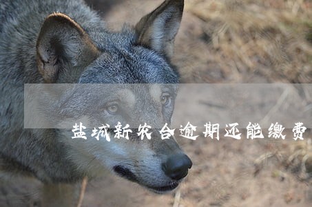 盐城新农合逾期还能缴费吗 盐城新农合逾期还能缴费吗