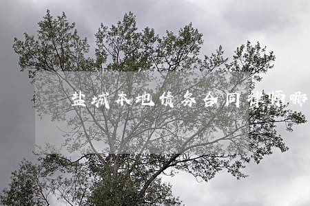 盐城本地债务合同律师哪个好 盐城本地债务合同律师哪个好