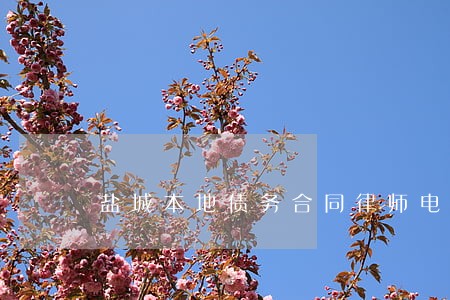 盐城本地债务合同律师电话咨询 盐城本地债务合同律师电话咨询