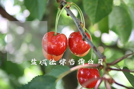盐城法律咨询公司 盐城法律咨询公司
