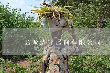 盐城法律咨询有限公司 盐城法律咨询有限公司