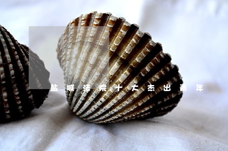盐城法院十大杰出青年 盐城法院十大杰出青年