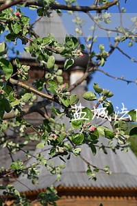盐城法院张红英 盐城法院张红英