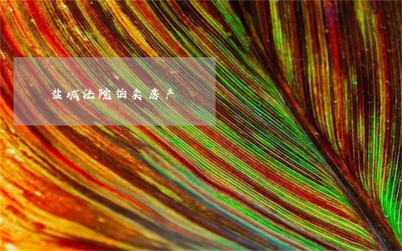 盐城法院拍卖房产 盐城法院拍卖房产