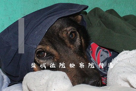 盐城法院检察院待遇 盐城法院检察院待遇