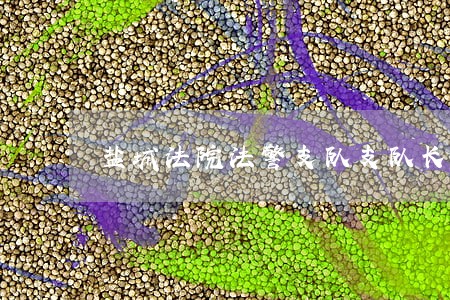 盐城法院法警支队支队长 盐城法院法警支队支队长