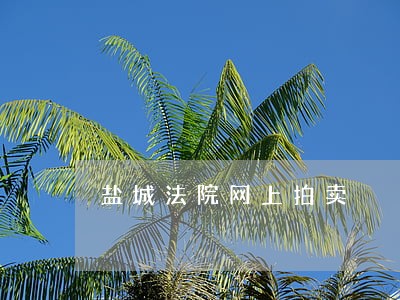 盐城法院网上拍卖 盐城法院网上拍卖