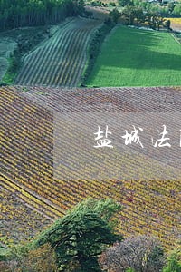 盐城法院老赖名单照片 盐城法院老赖名单照片