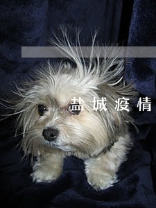 盐城疫情年检逾期 盐城疫情年检逾期