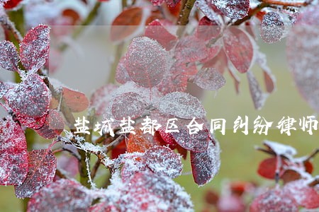 盐城盐都区合同纠纷律师电话 盐城盐都区合同纠纷律师电话