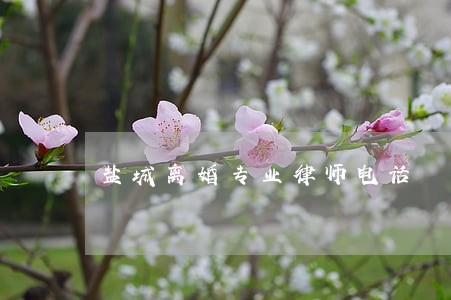盐城离婚专业律师电话 盐城离婚专业律师电话