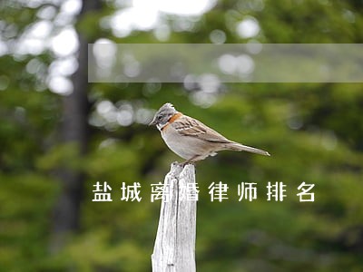 盐城离婚律师排名 盐城离婚律师排名