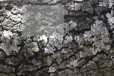 盐城离婚律师推荐 盐城离婚律师推荐