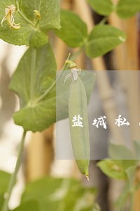 盐城私人债务纠纷律师 盐城私人债务纠纷律师
