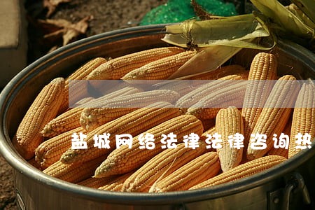 盐城网络法律法律咨询热线 盐城网络法律法律咨询热线