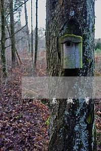 盐城著作权律师在线免费咨询 盐城著作权律师在线免费咨询