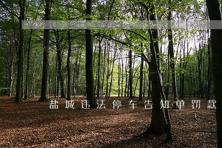 盐城违法停车告知单罚款多少 盐城违法停车告知单罚款多少