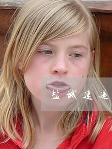盐城速递物流班子违法 盐城速递物流班子违法