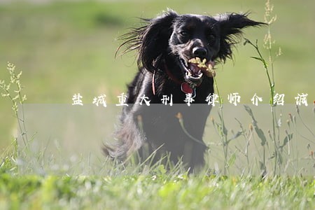 盐城重大刑事律师介绍诚信立足