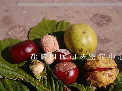 盐城附医司法鉴定中心 盐城附医司法鉴定中心