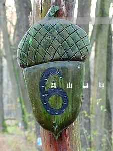 盐山县取保候审律师咨询电话 盐山县取保候审律师咨询电话