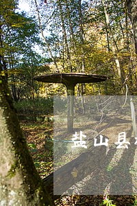 盐山县私人律师律师咨询电话