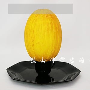 盐山律师咨询电话 盐山律师咨询电话
