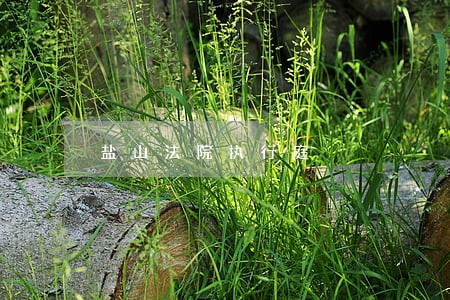 盐山法院执行庭 盐山法院执行庭
