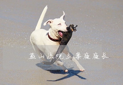 盐山法院立案庭庭长 盐山法院立案庭庭长
