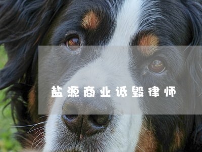 盐源商业诋毁律师 盐源商业诋毁律师