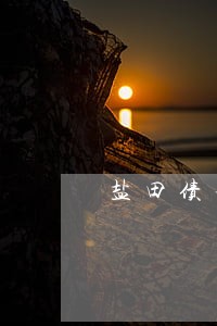盐田债务追讨律师咨询